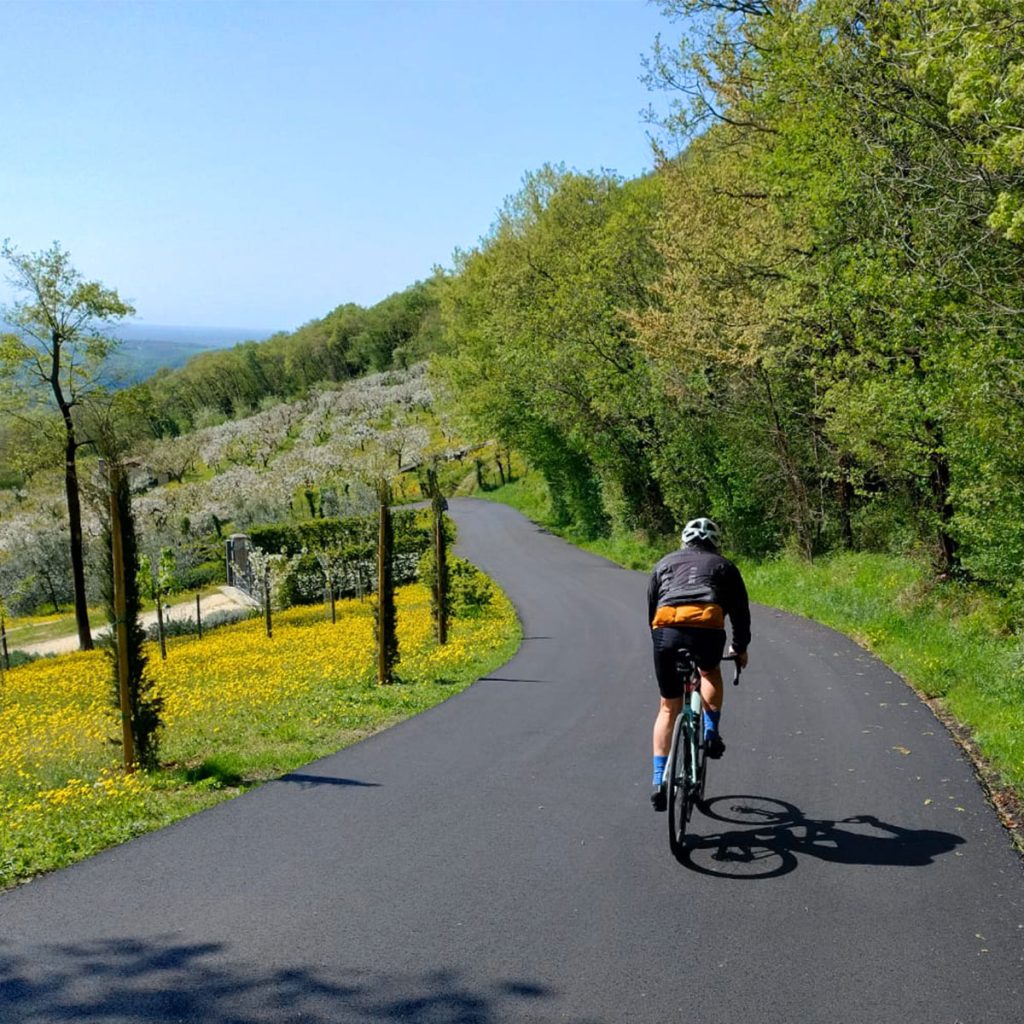 Ciclista su strada asfaltata tra colline verdi e uliveti in fiore, giornata di primavera, percorso panoramico in campagna.