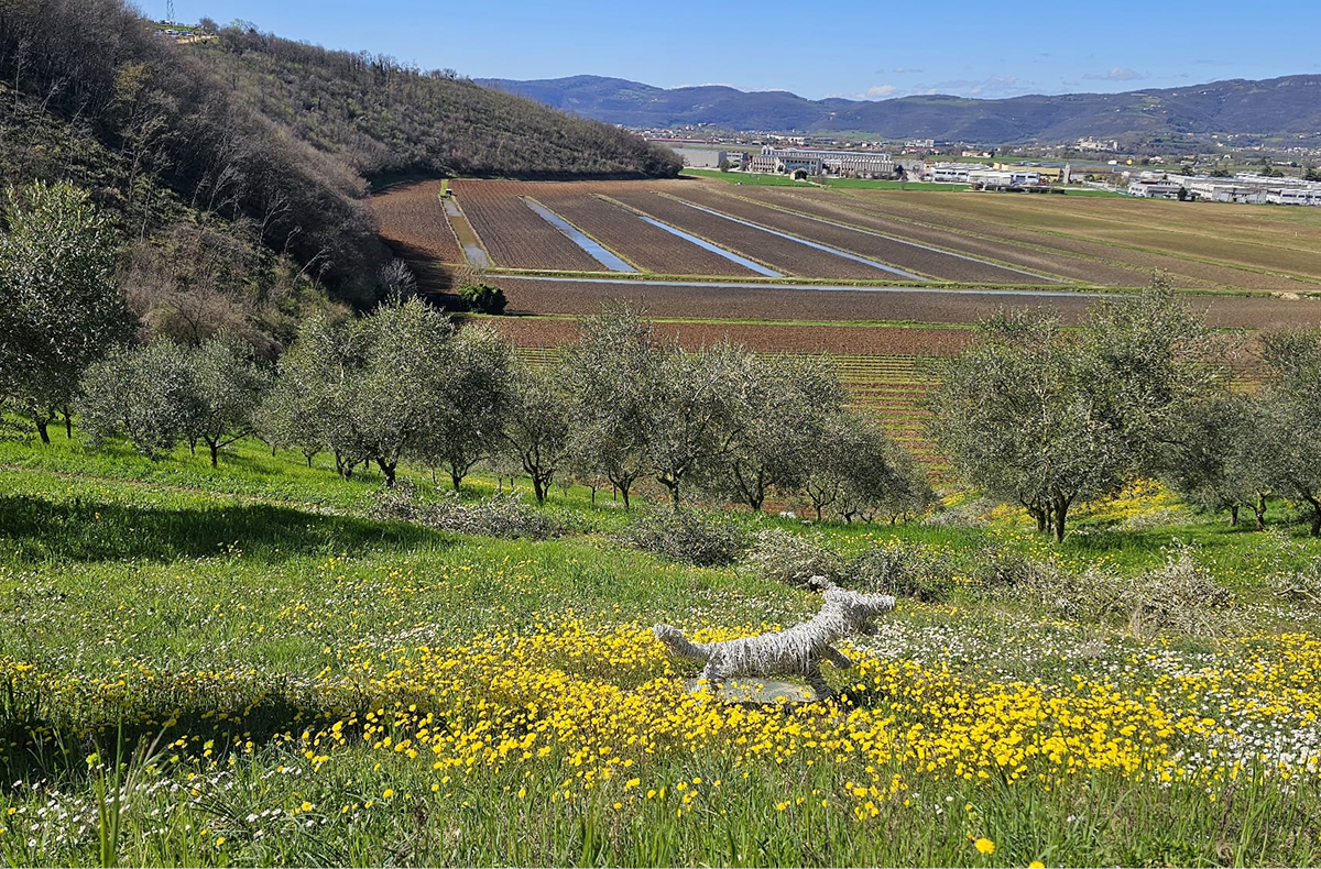 Campi intorno ai Monti berici, una via per il cicloturismo