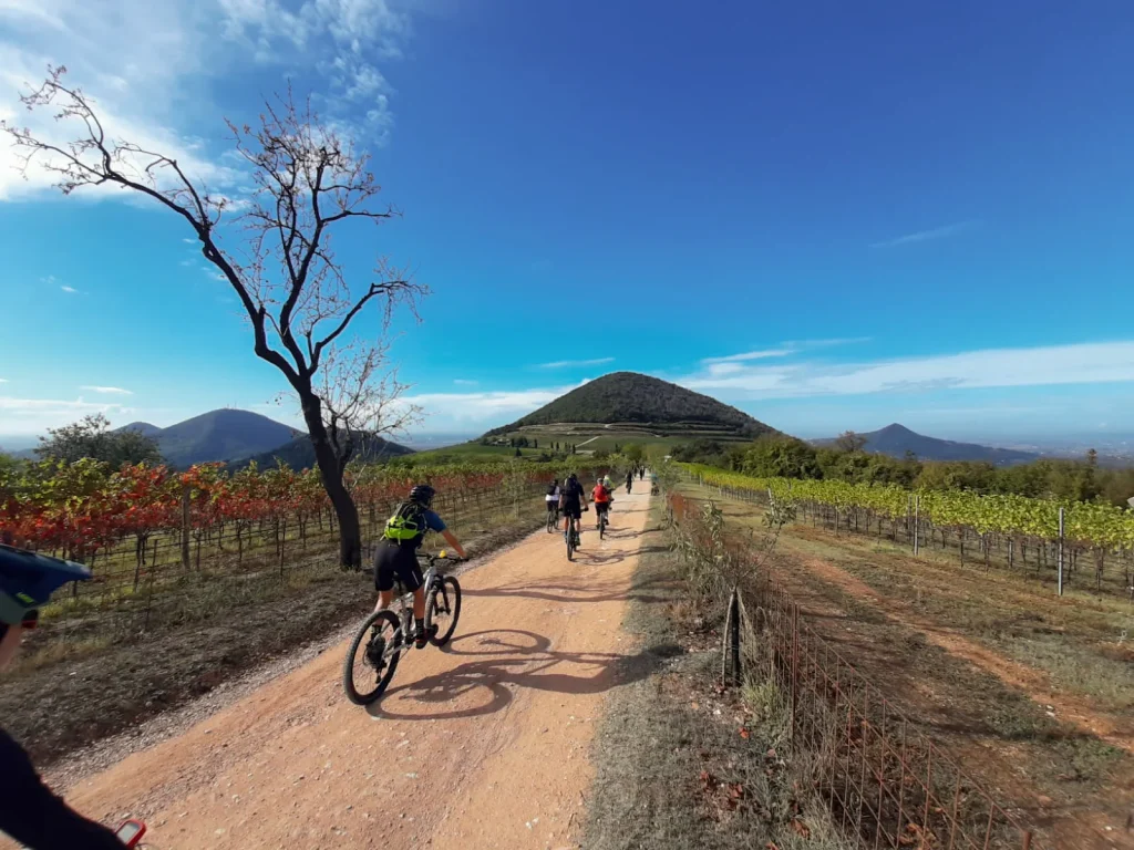 Ciclisti in mountain bike su sentiero sterrato tra vigneti e colline, sotto cielo blu limpido, escursione panoramica